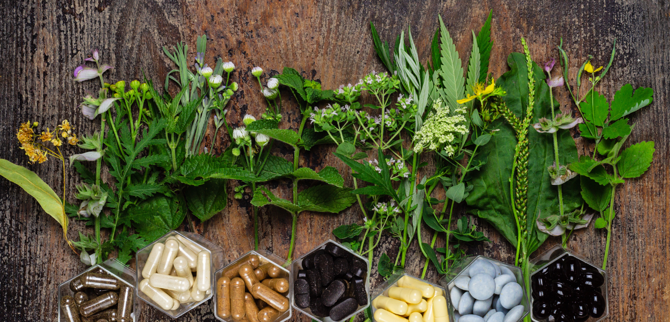Jasmine Norcross Holistic Health blog banner featuring energy healing and wellness tips